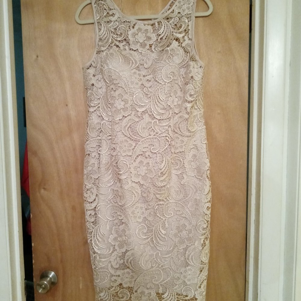 Adrianna Papell Taupe, Lace Dress, Size 12.